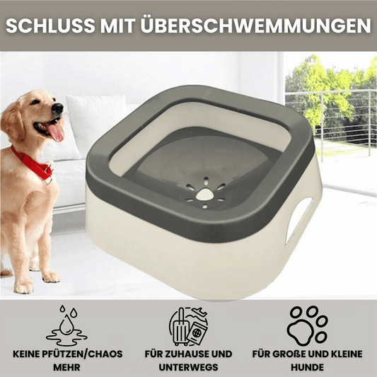 SipSafe - Das Original